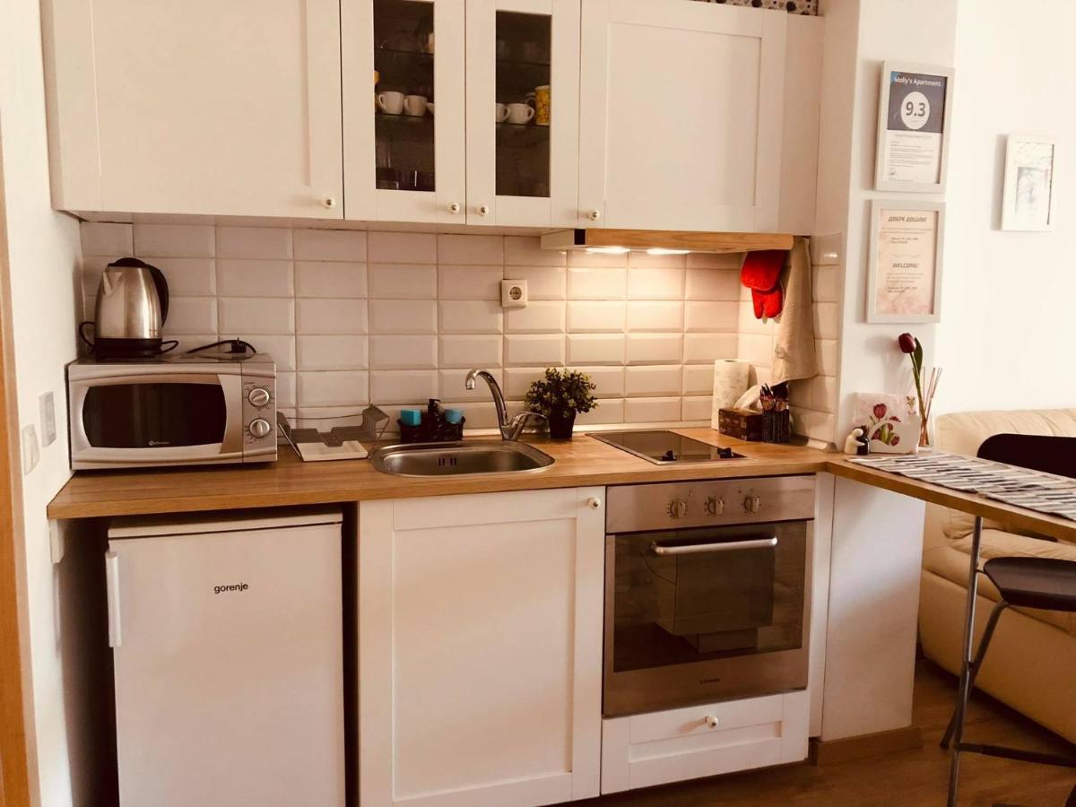 Molly'S Apartment Σόφια Εξωτερικό φωτογραφία